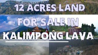 12 acres land for sale in kalimpong lava