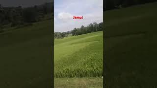 जमुई का पहाड़ #short video