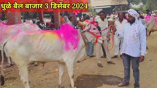 आजचा live 🔴 3 डिसेंबर 2024 धुळे बैल बाजार || Dhule Bail Bajar