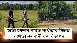 হাতী খেদাৰ নামত ব্যৰ্থতাৰ পিছত ব্যৰ্থতা নলবাৰী বন বিভাগৰ।