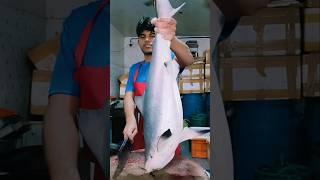 Sharks 🐋 fish cutting