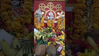 श्री राम नाम सप्ताह यज्ञ | देव उठनी एकादशी | बिर्रा जांजगीर चांपा