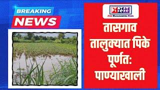 Monsoon News 2024 | तासगाव तालुक्यात अतिवृष्टीने पिके पूर्णतः पाण्याखाली