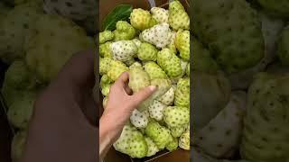 Noni Fruit नोनी फल