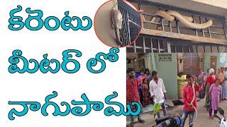 ఉరవకొండ పట్టణంలో ఇంటి కరెంట్ మీటర్లోకి దూరిన పాము