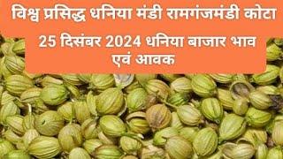 Today dhaniya bajar| 25/12/2024 dhaniya bajar |Today coriander bajar |रामगंजमंडी धनिया बाजार भाव आवक