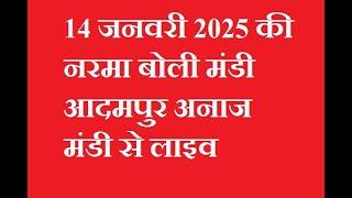 14 जनवरी 2025 की नरमा बोली मंडी आदमपुर अनाज मंडी से लाइव Top Bhao 7471 Mandi Admapur narma kpas