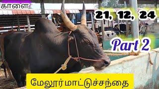 இந்த வாரம் 21, 12, 24 மேலூர் சந்தை Part 2 சிறந்த காளைகள்