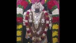 பைரவாஷ்டமி. ஸ்ரீ காலபைரவர் ஆலயம். புதுக்குடி. திருவாரூர்