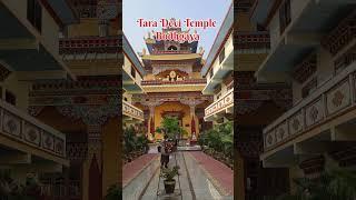 Tara Devi temple Bodhgaya!! Tara Devi temple video!!