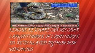 KIMOUS KI KHARI CAR NICOBAR LARGEST SNAKE OF LAND SNAKE ID: RETICULATED PYTHON NON VENOMOUS