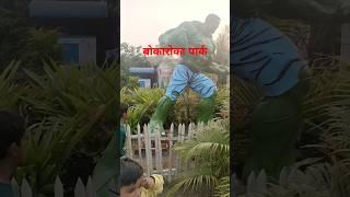 बोकारो का पार्क