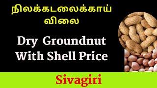 08-01-2021 Groundnut Wholesale Rate At Sivagiri | சிவகிரியில் இன்று விற்பனையான நிலக்கடலைக்காய் விலை