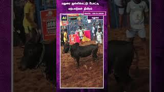 மதுரை ஜல்லிக்கட்டு போட்டி ஏற்பாடுகள் தீவிரம் | JALLIKATTU | PONGAL FESTIVAL | MADURAI