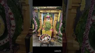 HANUMAN JAYANT | KARUR ANNANAGAR TEMPLE | ANUKRAHA SAMAYAL