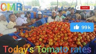 Today's Tomato rates at CMR Mandi, Kolar Karnataka 06 january 25