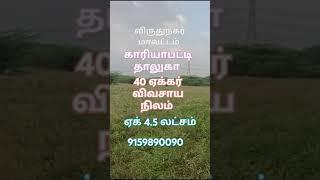 விருதுநகர் மாவட்டம் காரியாபட்டி தாலுகாவில் மிதலைகுளம் அருகே விவசாய நிலம் விற்பனைக்கு