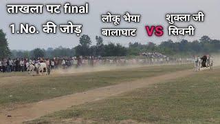 💥final No.1💥 ताखला पट (लोकू भैया  बालाघाट vs शुक्ला जी)💫 Seoni October 2024