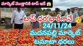 24/11/24 Madanapalle Tomato Market Price Today || Today Tomato Market Rate In Madanapalle