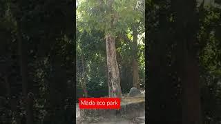 Mada eco park Singrauli # mada gufa