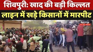 Shortage of Fertilizer: Shivpuri में खाद की बड़ी किल्लत, लाइन में खड़े किसानों में मारपीट। MP News