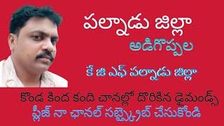 🌹💐🤔పల్నాడు జిల్లా అడిగొప్పల్లో దొరికిన డైమండ్స్ 🌹💐🤔