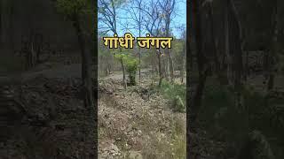 sanjay gandhi national park mumbai | borivali national park mumbai | mumbai