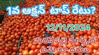 12/11/2024 Madanapalle Tomato market prices today | today tomato rates in madanapalle