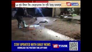 কাছাৰৰ ধলাই ৰামপ্ৰসাদপুৰত উদ্ধাৰ এডাল প্ৰকাণ্ড কিং কোব্ৰা