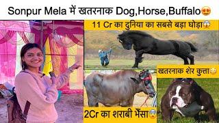 Sonpur Mela Ghoda, Bakri, Dog Bazar Full Tour Video😍 | 2 करोड़ का शराबी भैंसा और 11Cr का घोड़ा😨 |