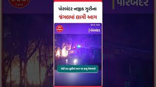 પોરબંદર નજીક ઝુરીના જંગલમાં લાગી આગ | Porbandar | Fire | Mumbai Samachar