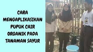 Praktik Baik P5 Gaya Hidup Berkelanjutan Asyiknya Berkebun Oleh Ibu Guru Amrah,S Pd