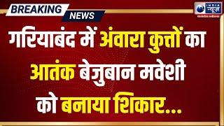 Gariaband: लगातार अंवारा कुत्तों से परेशान है लोग, आज किसानों ने कुत्तों को खदेड़ा | IndiaNews MPCG