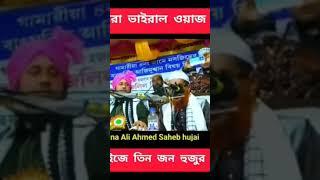 মায়ের নাম আমিনা বিবি ||বাংলা গজল ||আলী আহমদ সাহেব হোজাই ||