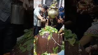 सतना बिरसिंहपुर में शिव जी के दर्शन 🙏🙏