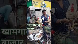 खामगाव चा बाजार कोंबडा विक्री  सुपर कोंबडा विक्री 🐔🐔🐔🐓🐓🐓🐓🐓🐓🐓🐓