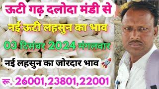 ऊटी गढ़ दलोदा मंडी से आज का 03 दिसंबर 2024 मंगलवार नईऊटी लहसुन का भाव |