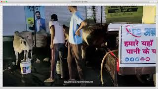 Gau Sewa Bhitarwar | Agrawal Empire Bhitarwar | AgrawalEmpireBhitarwar