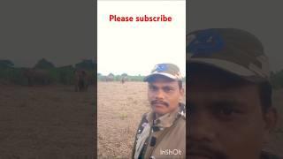 4wildlife elephants at parvathipuram manyam bhamini