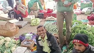 palitana market yard bakalana bhav||શાકભાજી બઝારભાવ||dt.27.12.2024