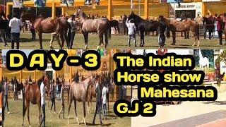 મહેસાણા ઘોડા શો ll The Indian horse show Mahesana