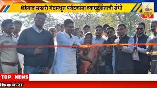 5 January 2025 SearchTv News Chandrapur  शेडेगाव सफारी गेटमधून पर्यटकांना व्याघ्रदर्शनाची संधी