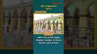 மயிலாடுதுறை ஸ்ரீ மாயூரநாதர் ஆலய ஐப்பசி மாத முடவன் முழுக்கு தீர்த்தவாரி திருவிழா | தரிசனம் 360