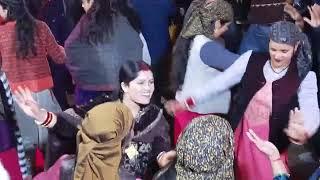 phadi dance HP 10 Rohru marriage 2024