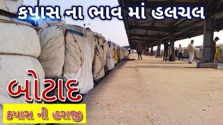 🟢 Botad Kapas na bhav | 29-11-2024 |બોટાદ કપાસના ભાવ:2024| Information about cotton crop price |