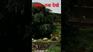बुंदेलखंड का किला। बल्देवगढ़ का किला। शॉर्ट वीडियो। वायरल विडियो
