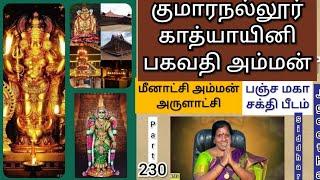 குமாரநல்லூர் பகவதியாக மாற்றம் பெற்ற மதுரை மீனாட்சிஅம்மன்!குமார முருகர் கோவிலை கட்ட விடாத காத்யாயினி!