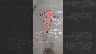 वैज्ञानिक रांगोळी प्रदर्शन प्रा.शा.बारसवाडा ता.अंबड