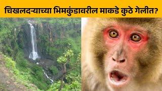 Hill Station Chikhaldara येथील भिमकुंडावरील माकडे गेली तरी कुठे? | Bhimkund Monkey