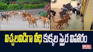 విచ్చలవిడిగా వీధి కుక్కల స్వైర విహారం | Jogulamba-Gadwal district   | BRK News Digital